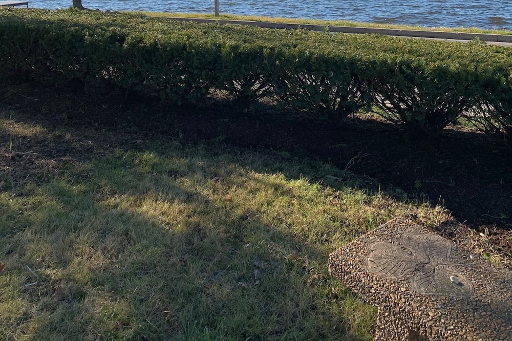 Photo of Others in Long Lake