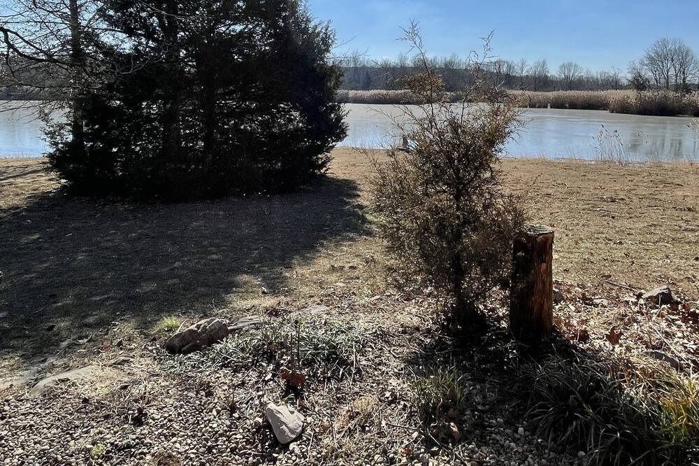 Photo of Outdoor in Scheller