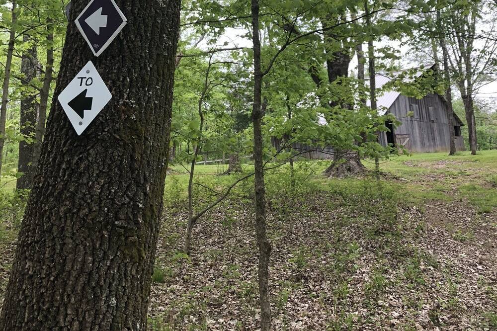 Photo of Outdoor in Ozark