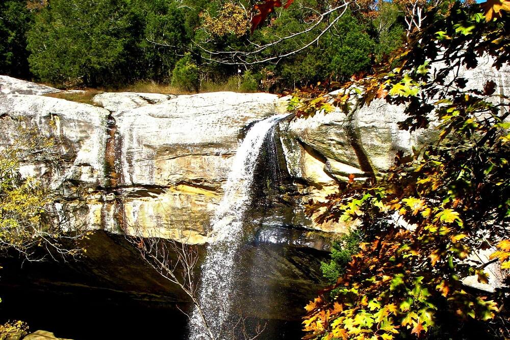 Photo of Others in Ozark