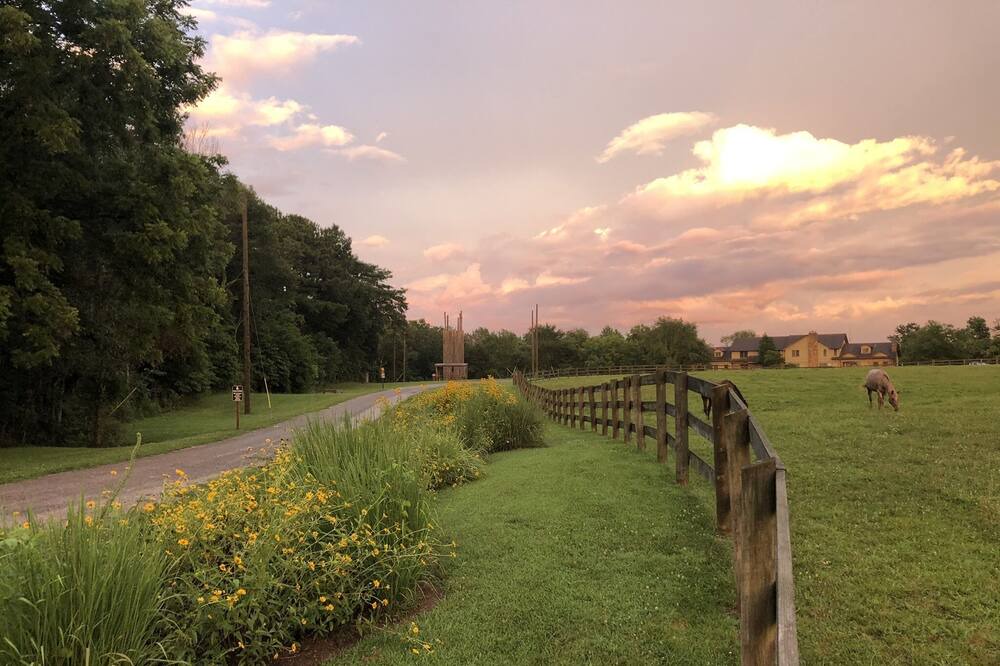 Photo of Others in Ozark