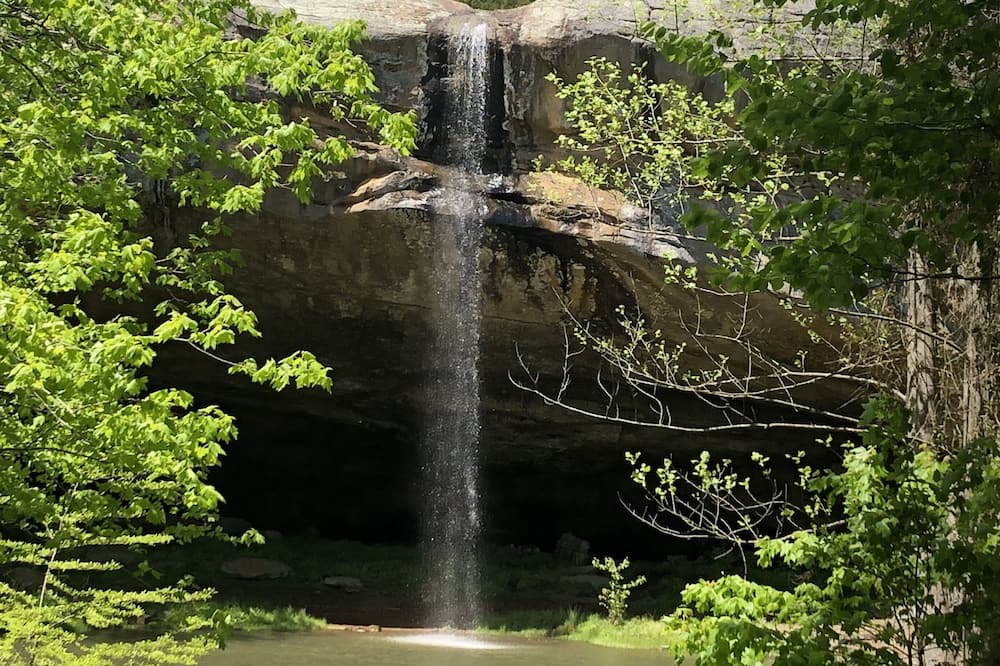 Photo of Others in Ozark
