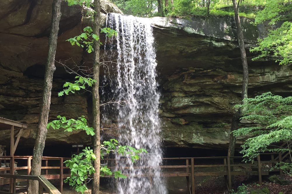 Photo of Others in Ozark