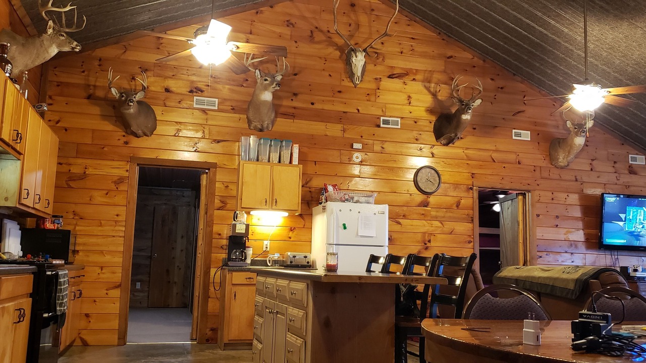 Photo of Kitchen in Pearl