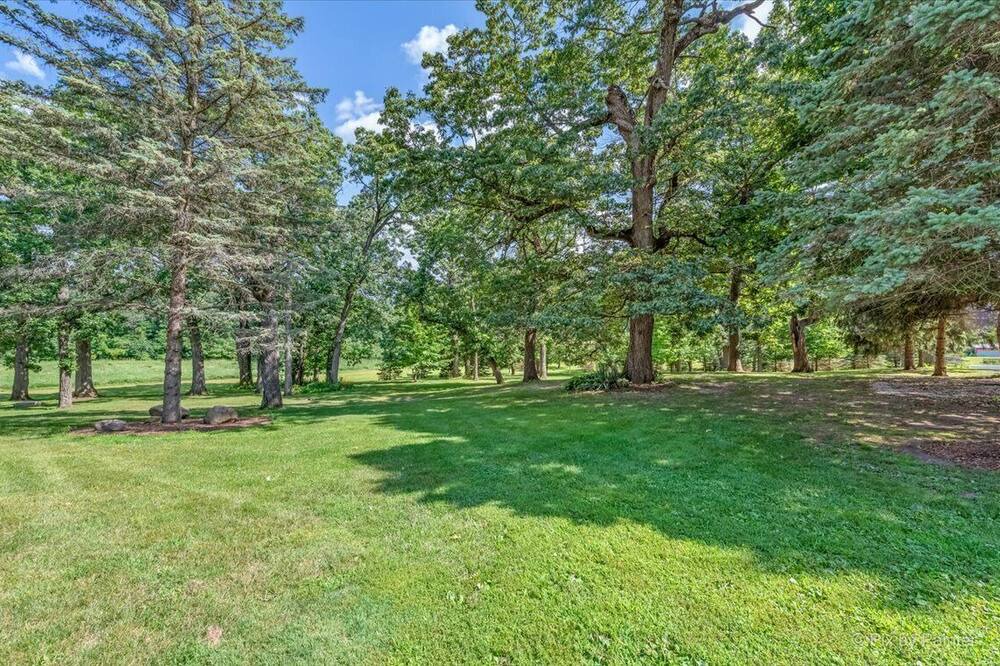 Photo of Outdoor in Plato Center