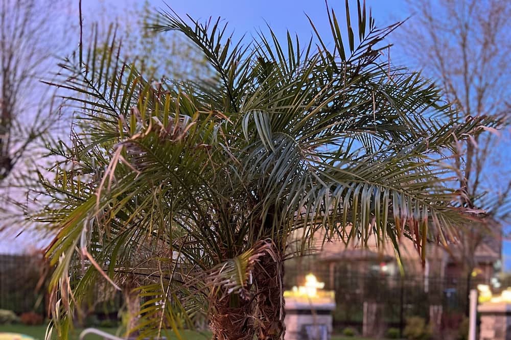 Photo of Outdoor in Palos Heights