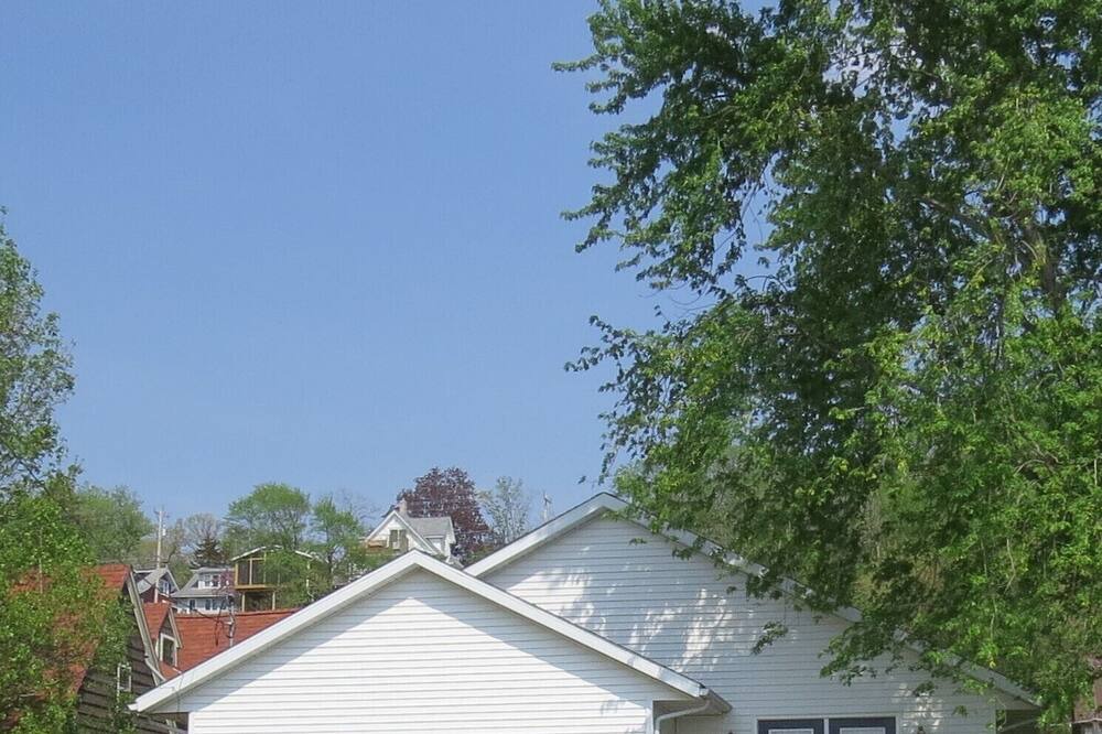 Photo of Others in Savanna
