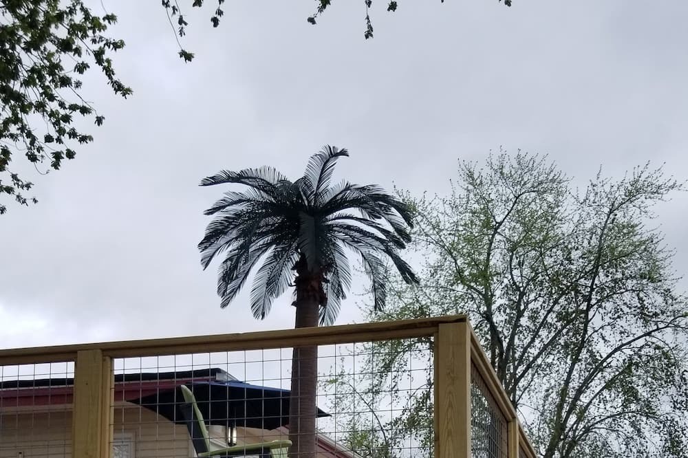 Photo of Outdoor in Rome