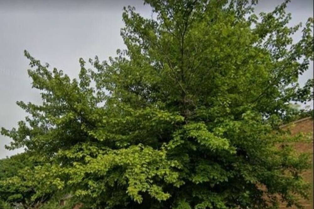 Photo of Outdoor in Calumet Heights