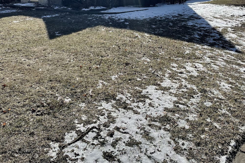 Photo of Outdoor in Homewood
