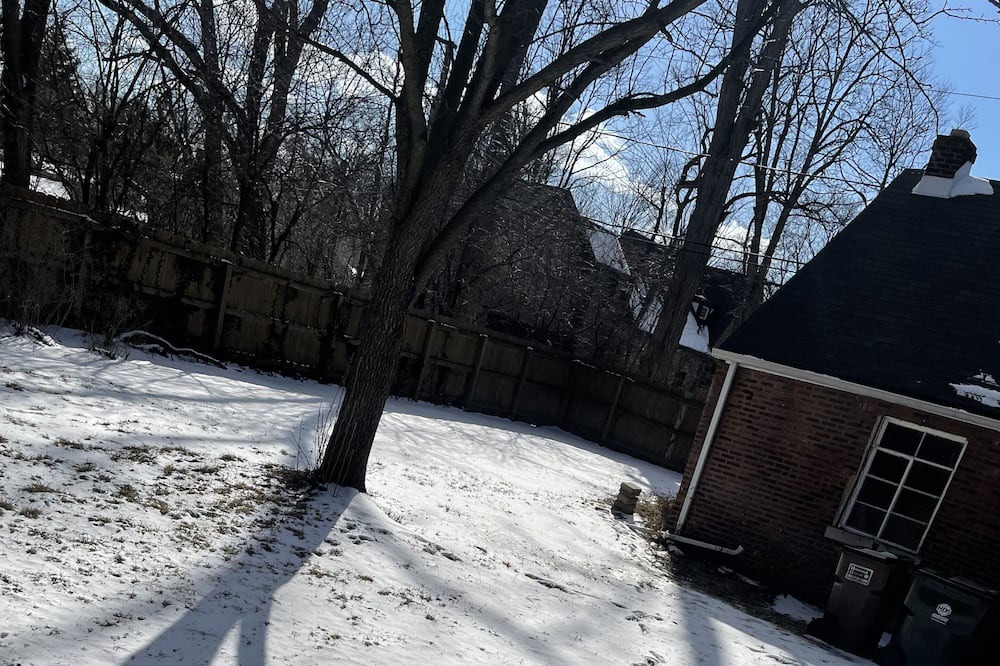 Photo of Others in Homewood
