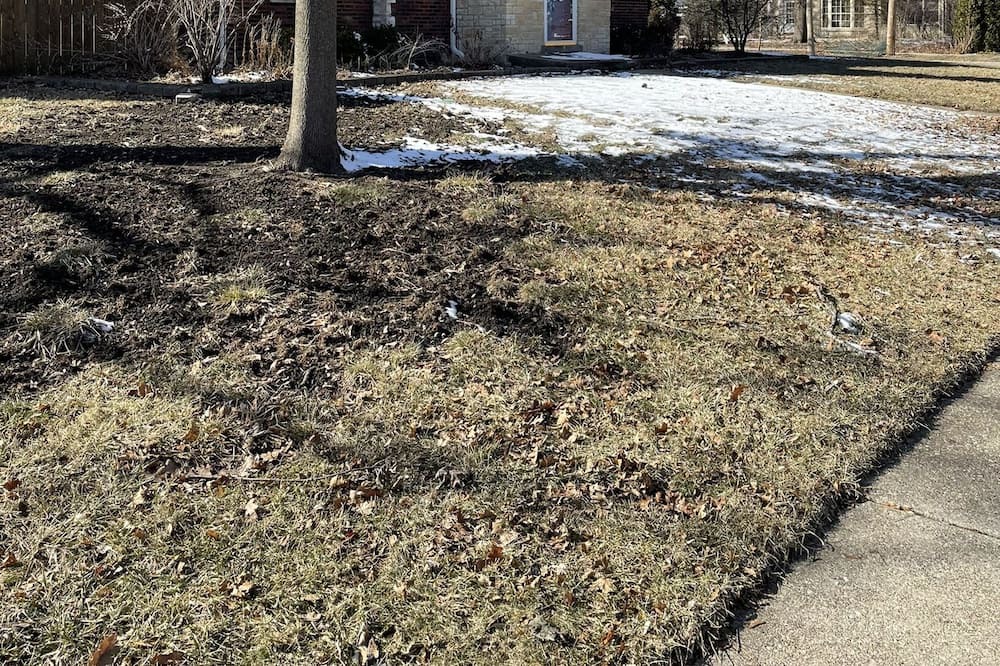 Photo of Outdoor in Homewood