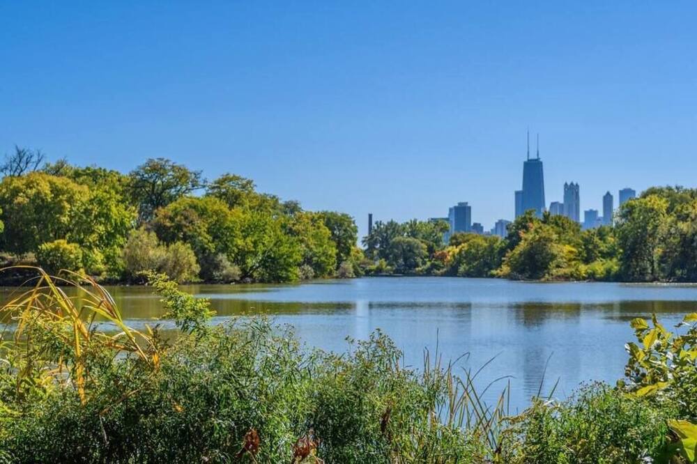 Photo of Others in Park West