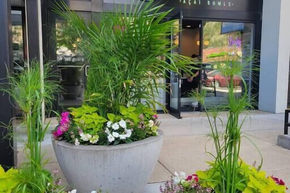 Photo of Others in Park West