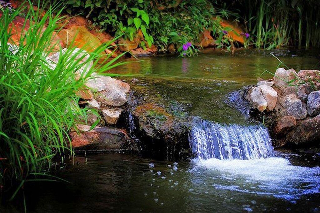 Photo of Outdoor in Ozark