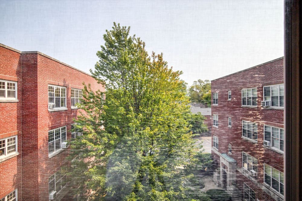 Photo of Outdoor in Evanston