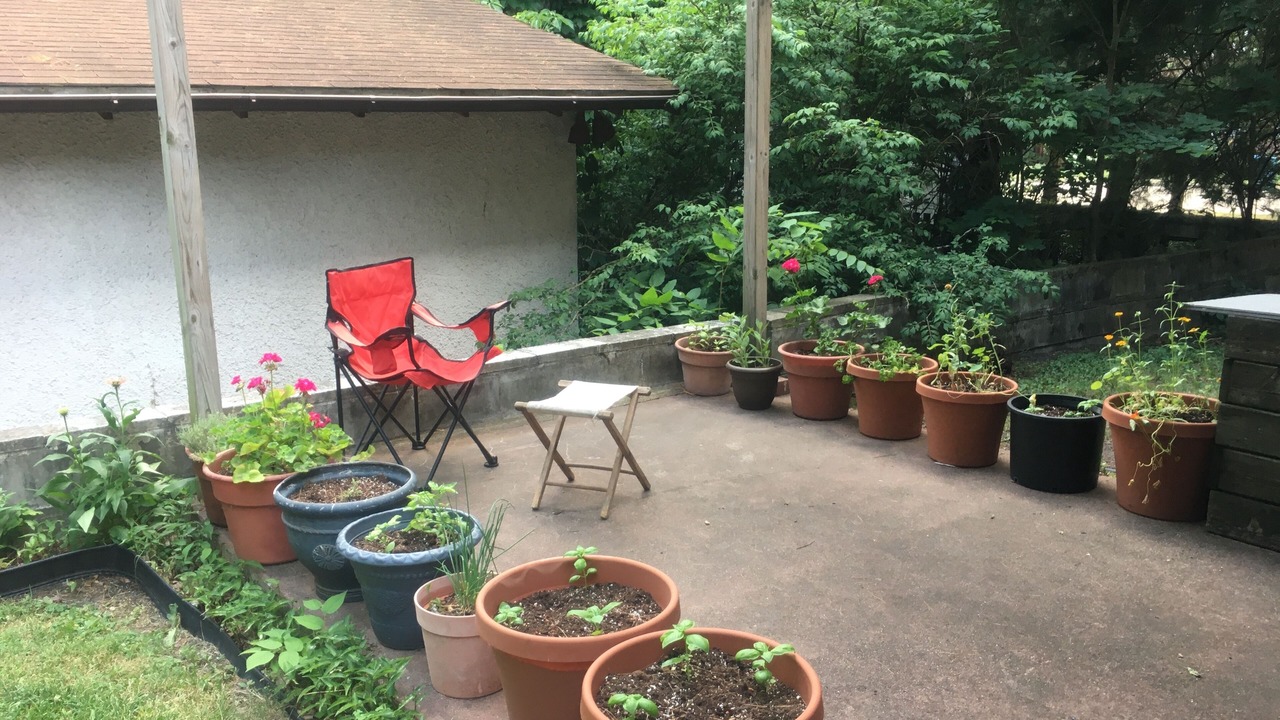 Photo of Outdoor in Dixon