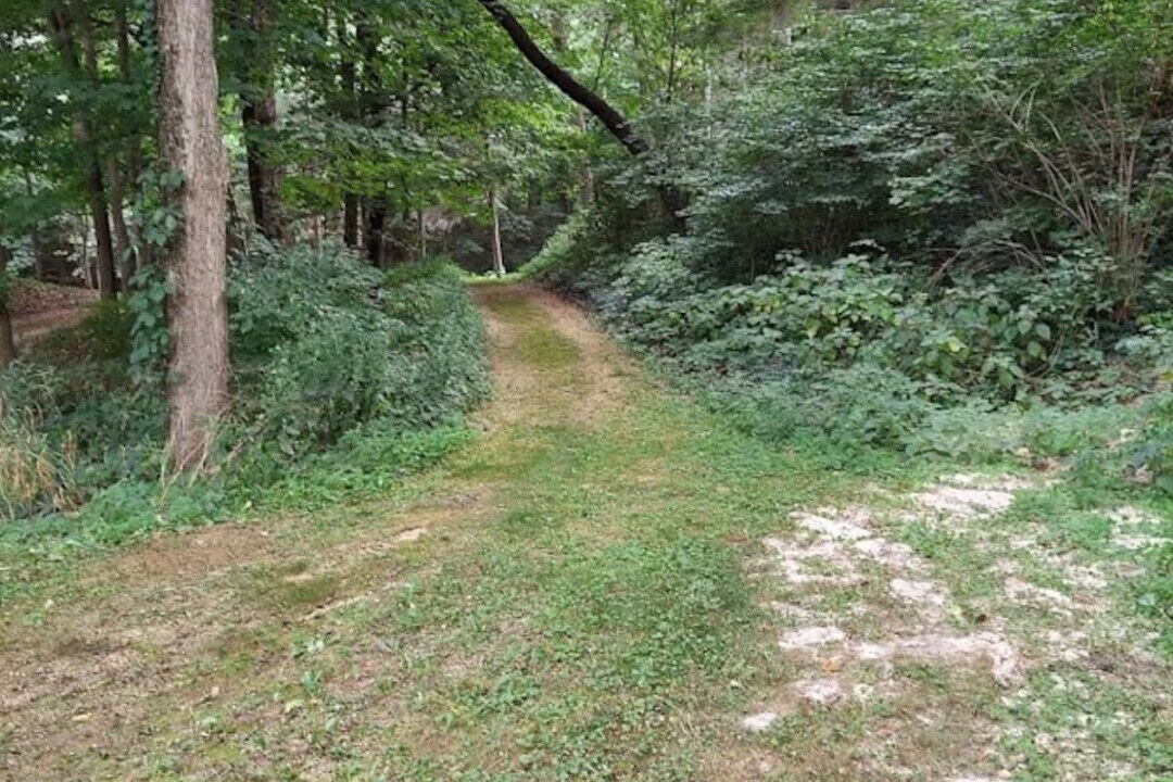 Photo of Outdoor in Grand Detour