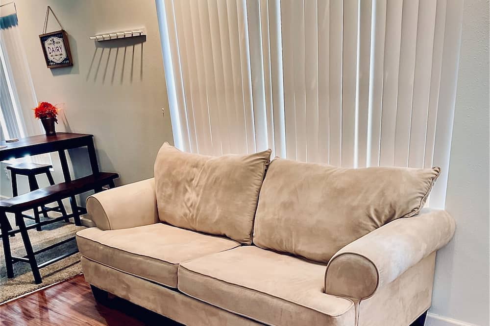 Photo of Livingroom in Renault