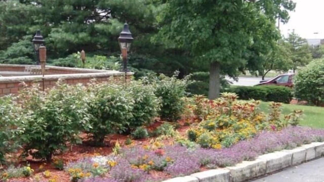 Photo of Outdoor in Bloomington