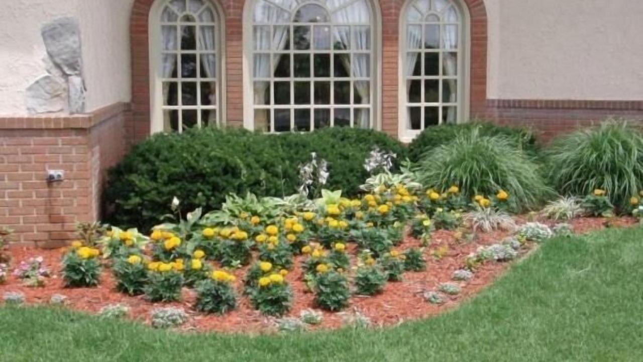 Photo of Outdoor in Bloomington