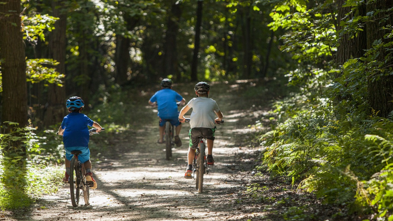 Photo of Outdoor in Galena