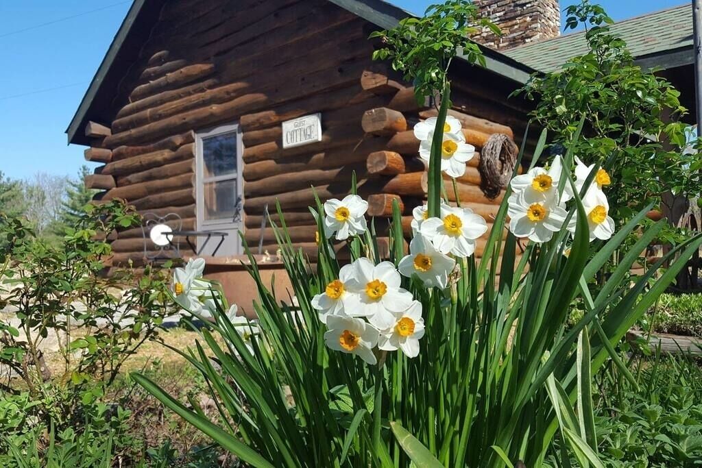 Photo of Outdoor in Freeburg