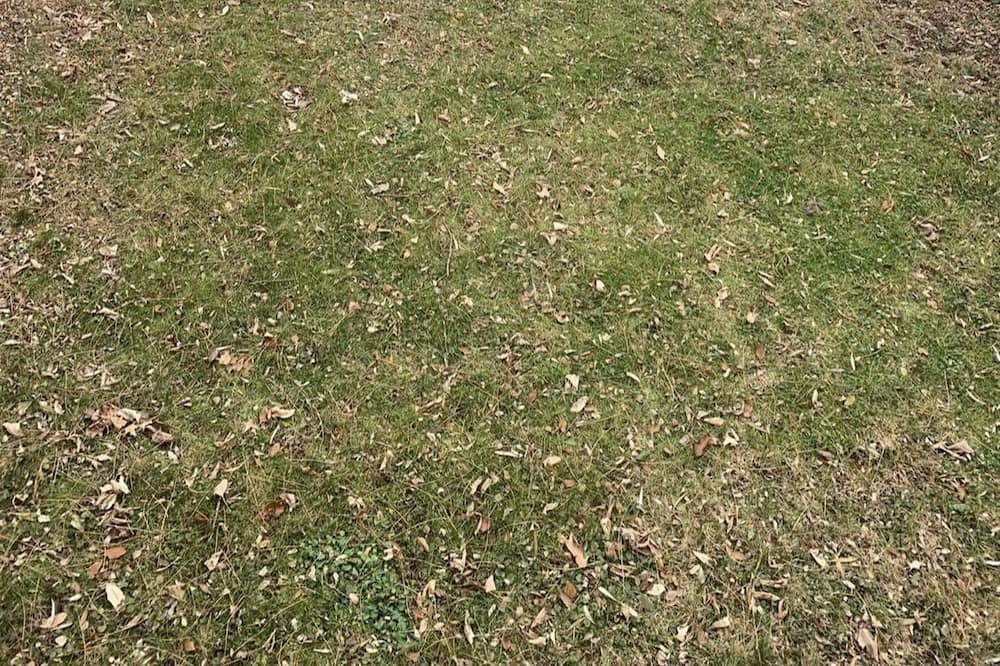Photo of Outdoor in Long Lake