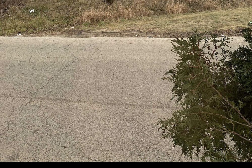Photo of Others in Long Lake