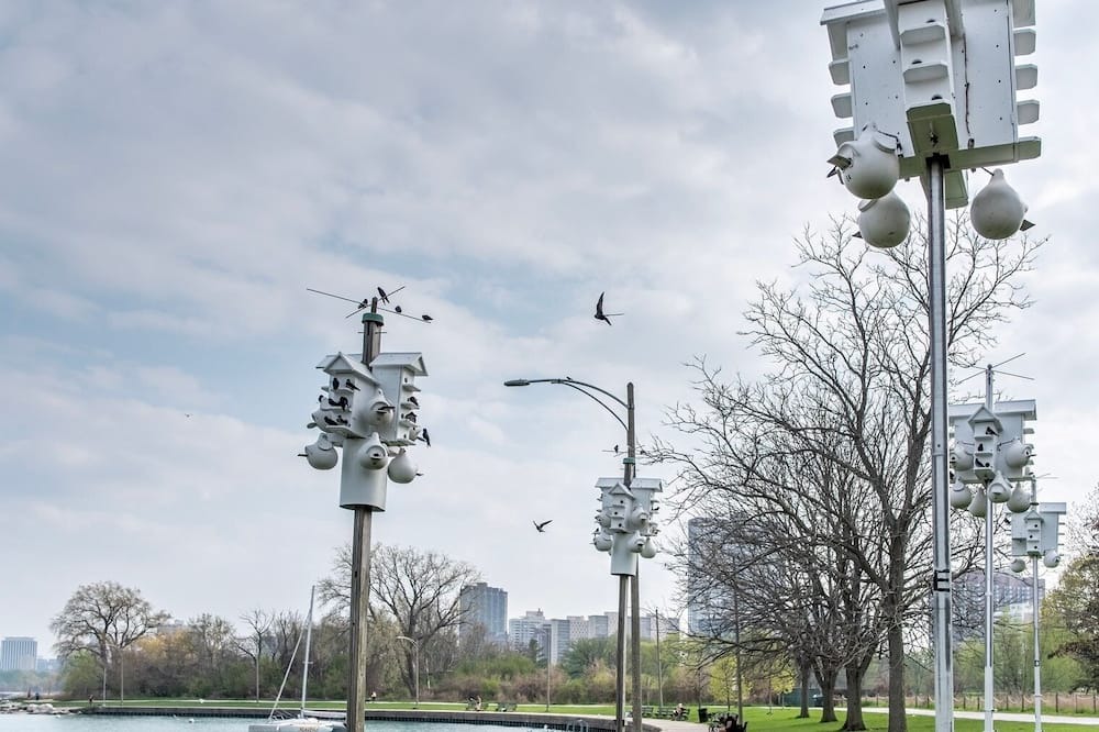 Photo of Outdoor in Uptown