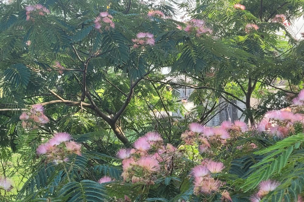 Photo of Outdoor in Grafton