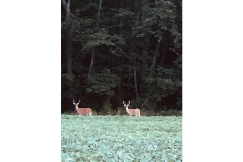 Photo of Others in Barnhill