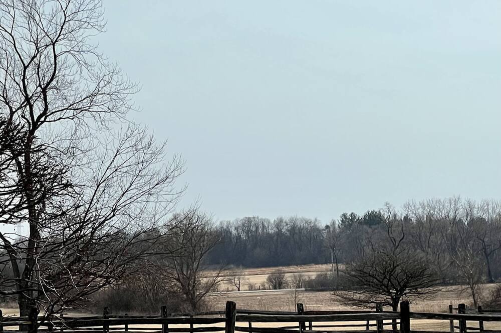 Photo of Others in Russell