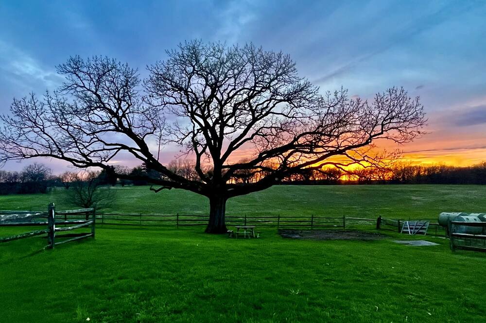 Photo of Outdoor in Russell
