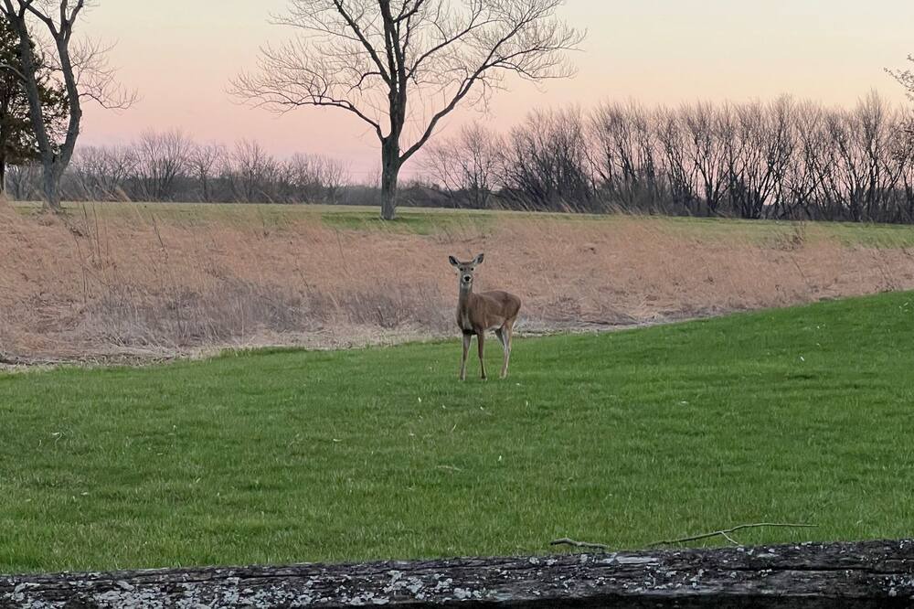 Photo of Outdoor in Russell