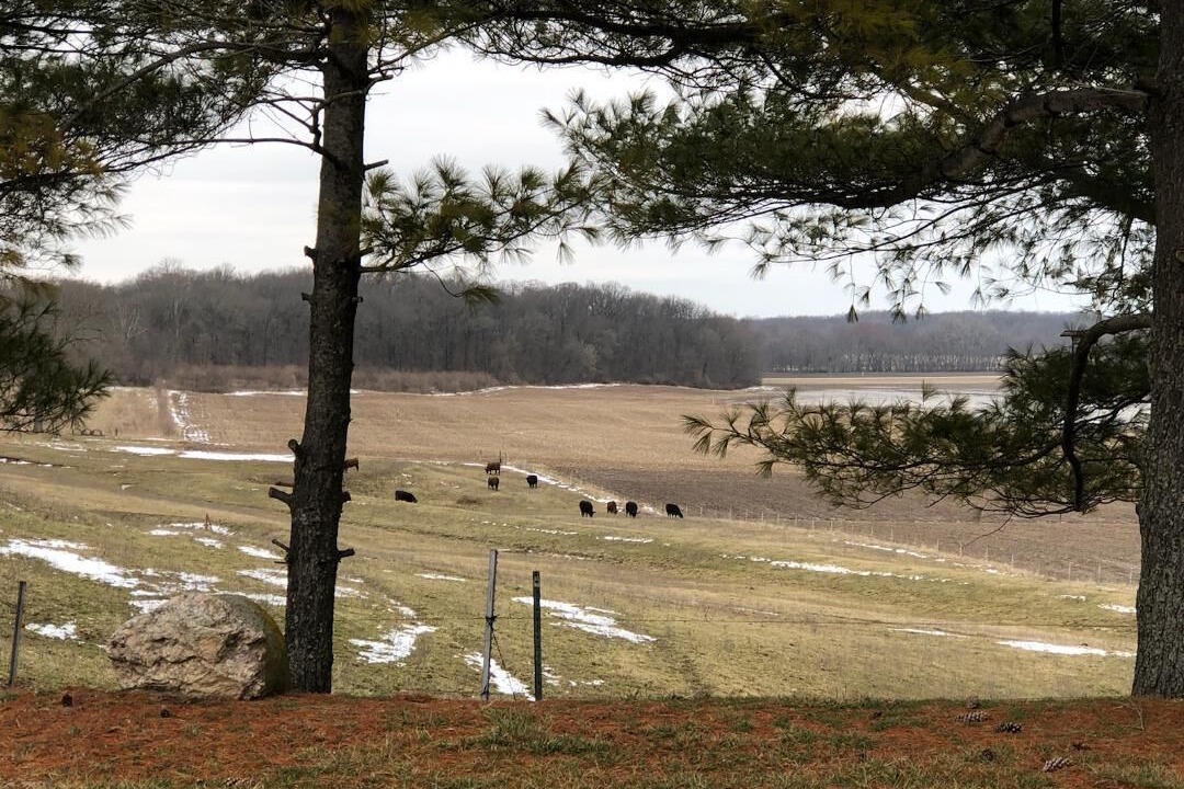 Photo of Others in Lakewood