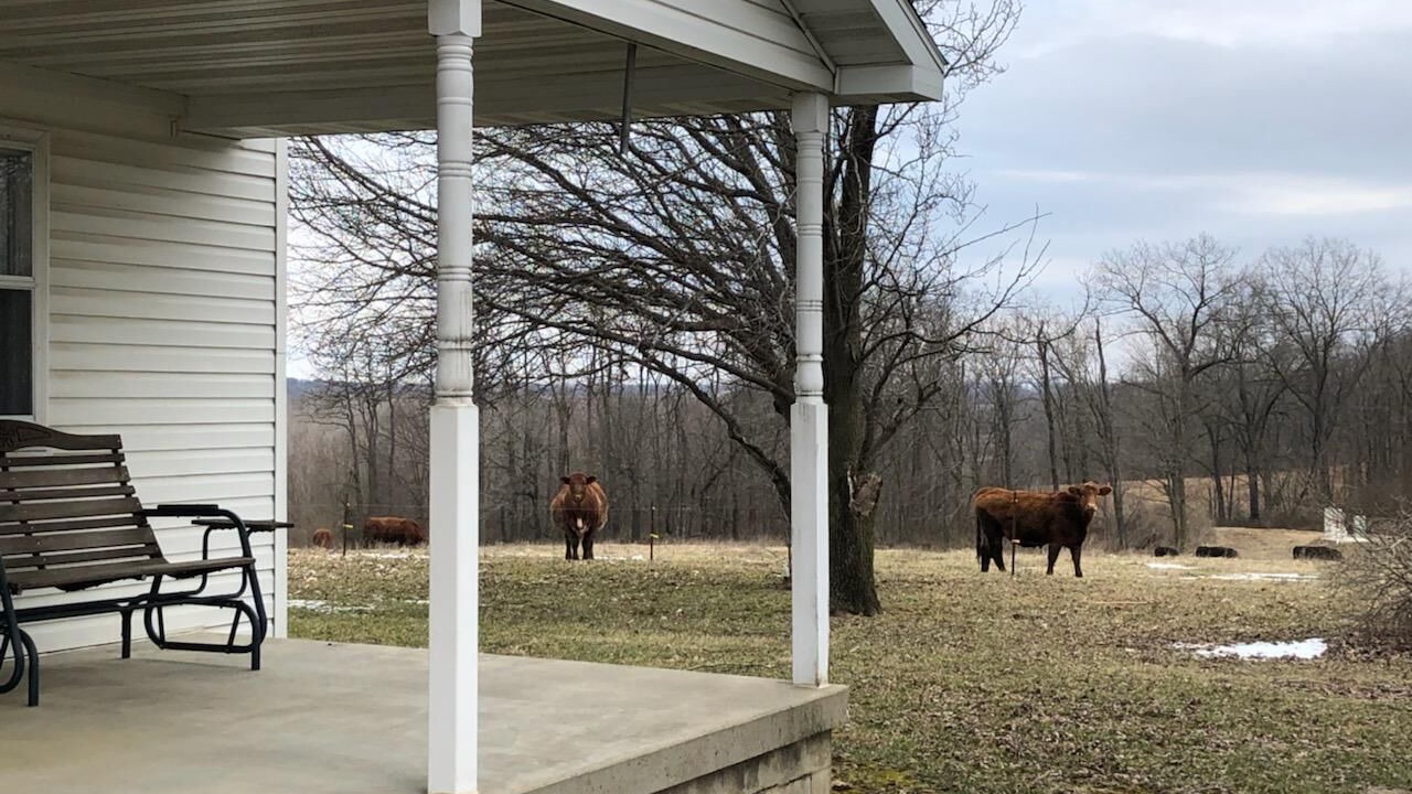 Photo of Outdoor in Lakewood