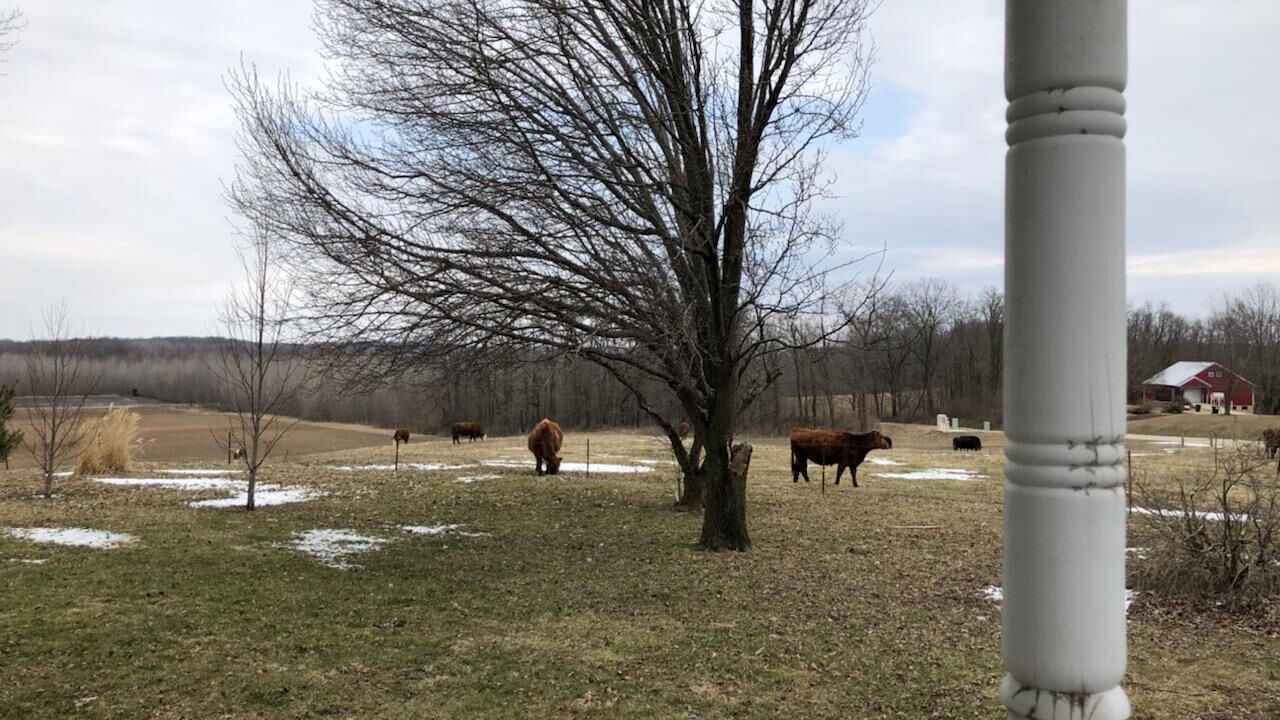 Photo of Outdoor in Lakewood