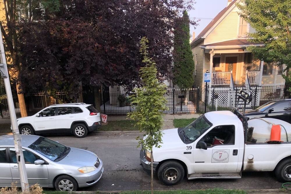 Photo of Outdoor in Logan Square
