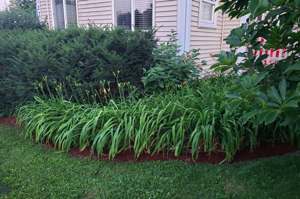 Photo of Outdoor in Oakwood Hills
