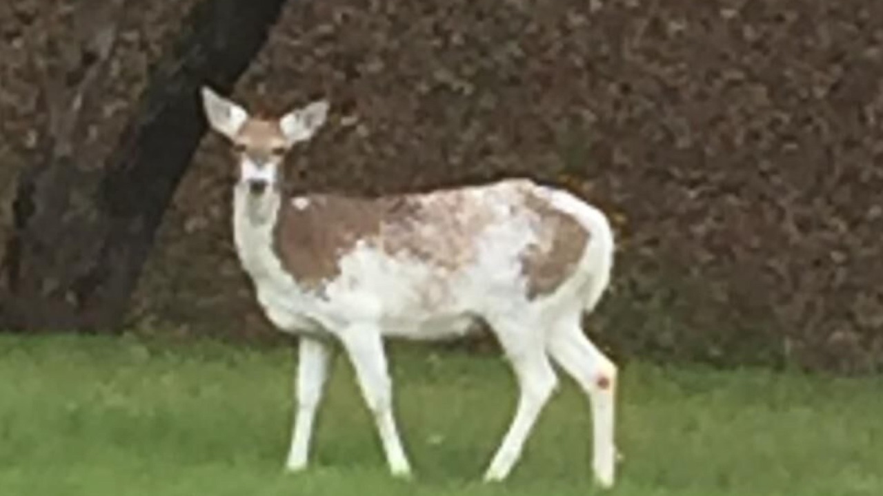 Photo of Outdoor in Lanark