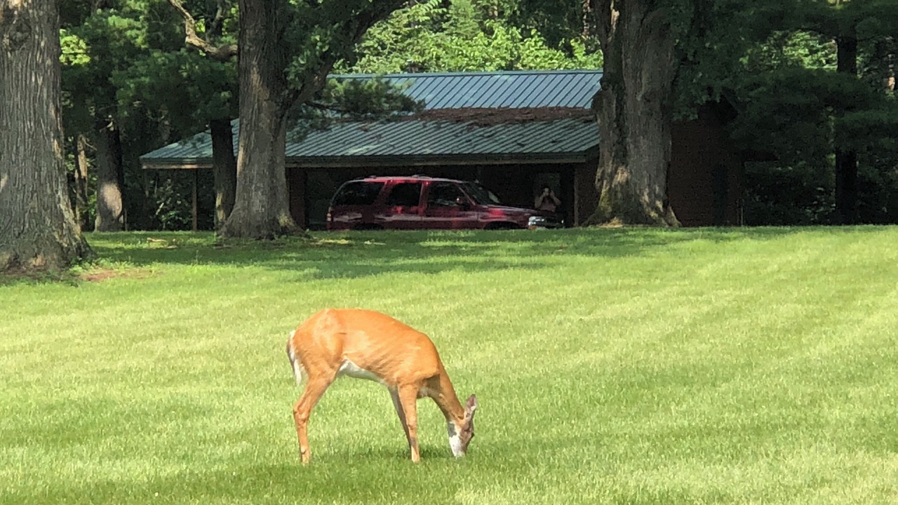 Photo of Outdoor in Triumph