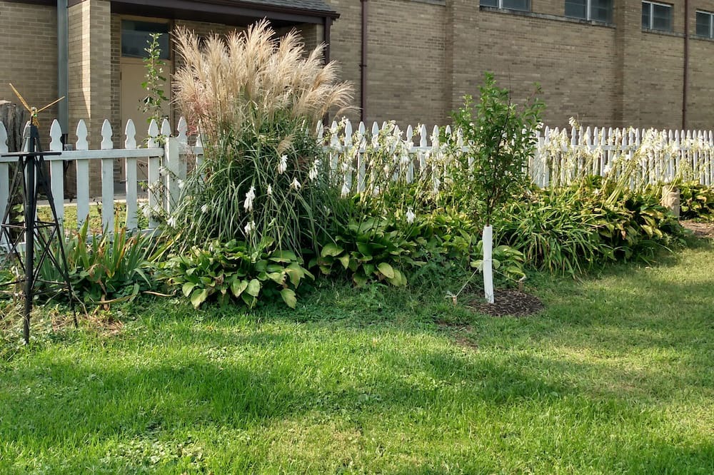 Photo of Outdoor in Clifton