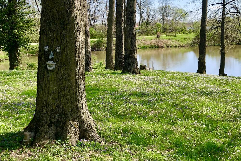 Photo of Others in Edwardsville