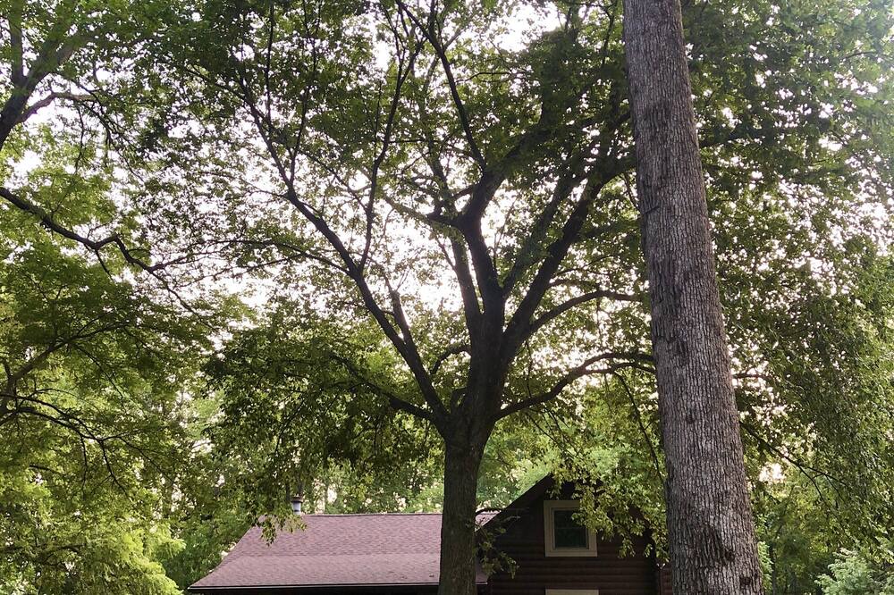 Photo of Outdoor in Edwardsville