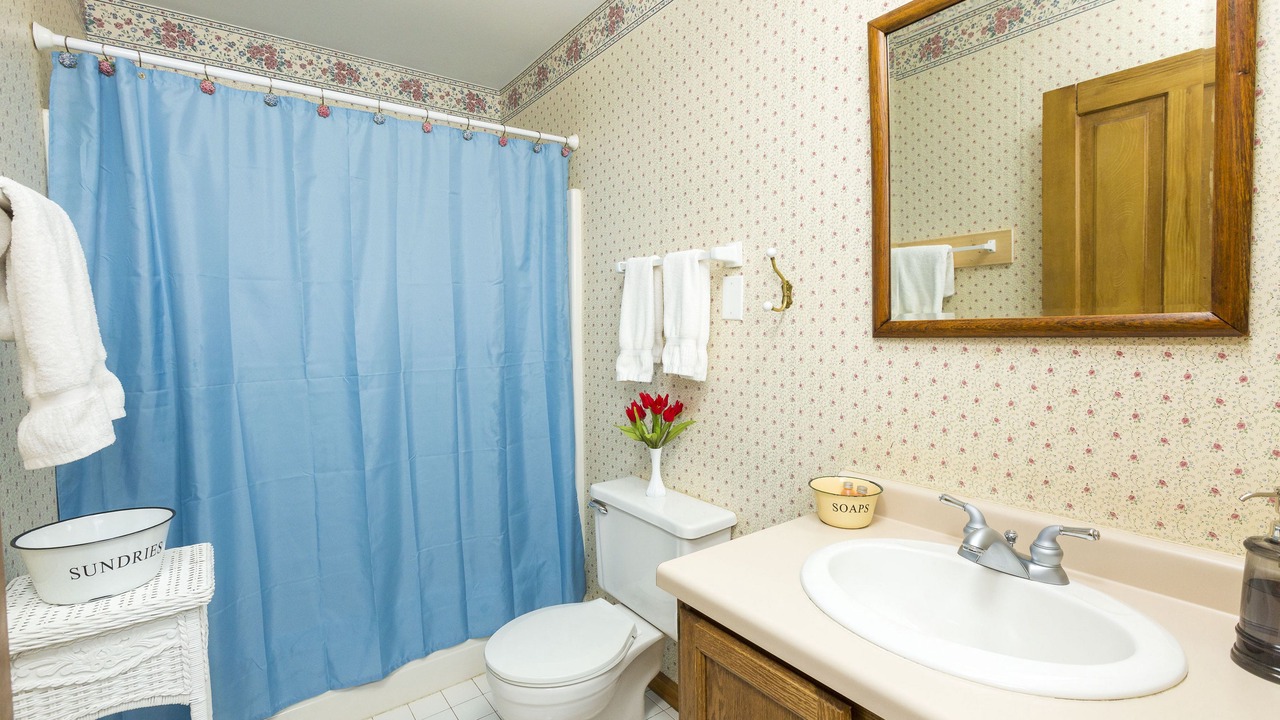 Photo of Bathroom in Galena