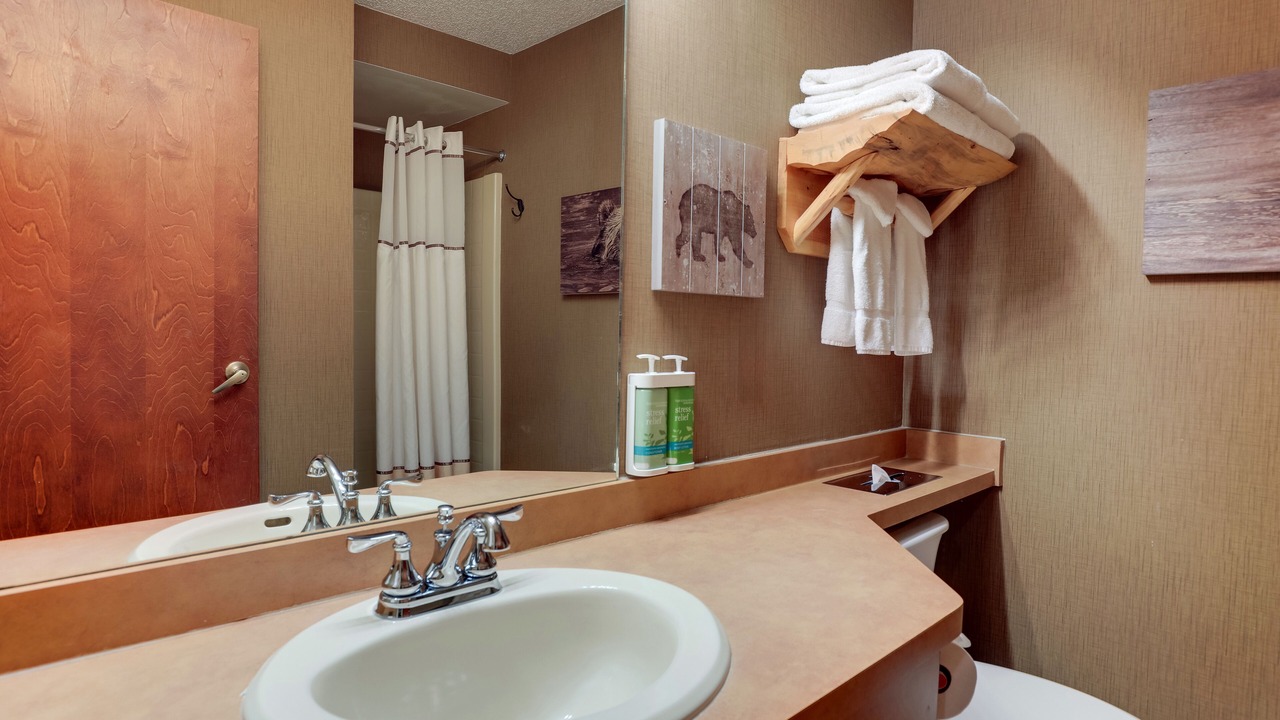 Photo of Bathroom in Galena