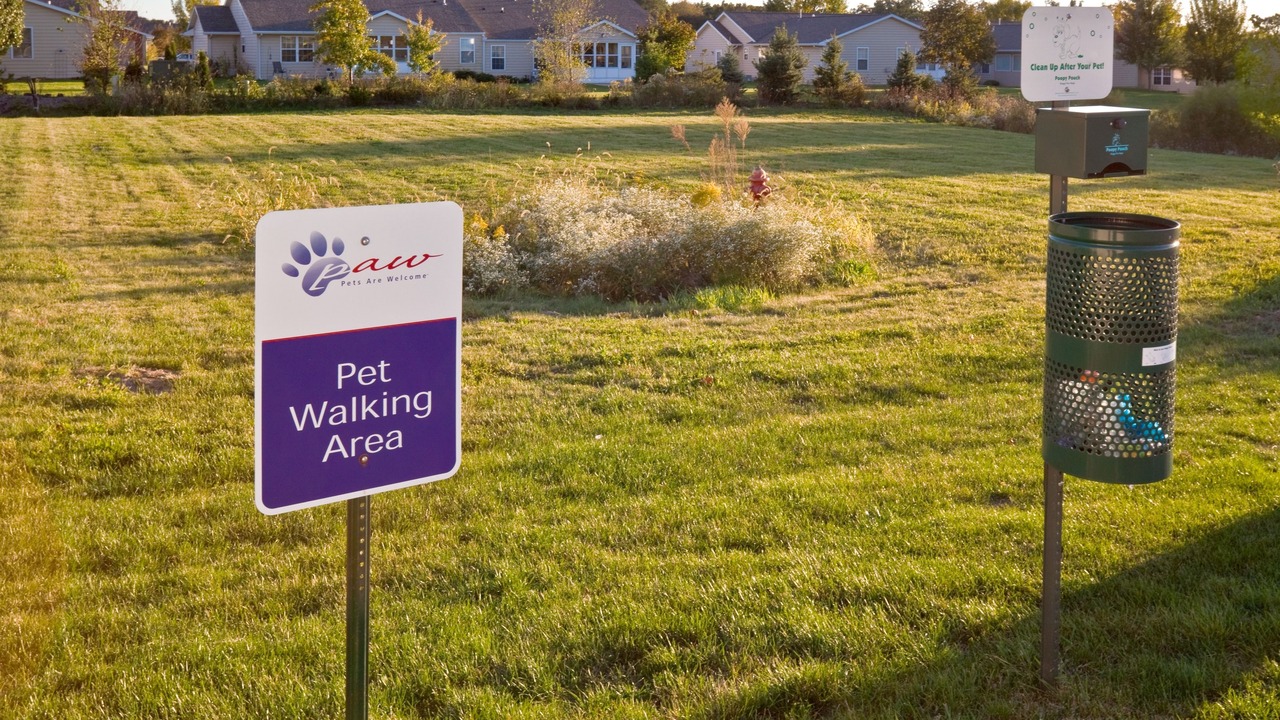 Photo of Others in Orange Prairie