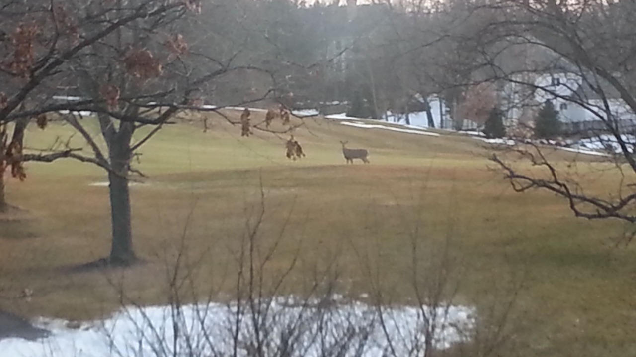 Photo of Outdoor in Woodstock