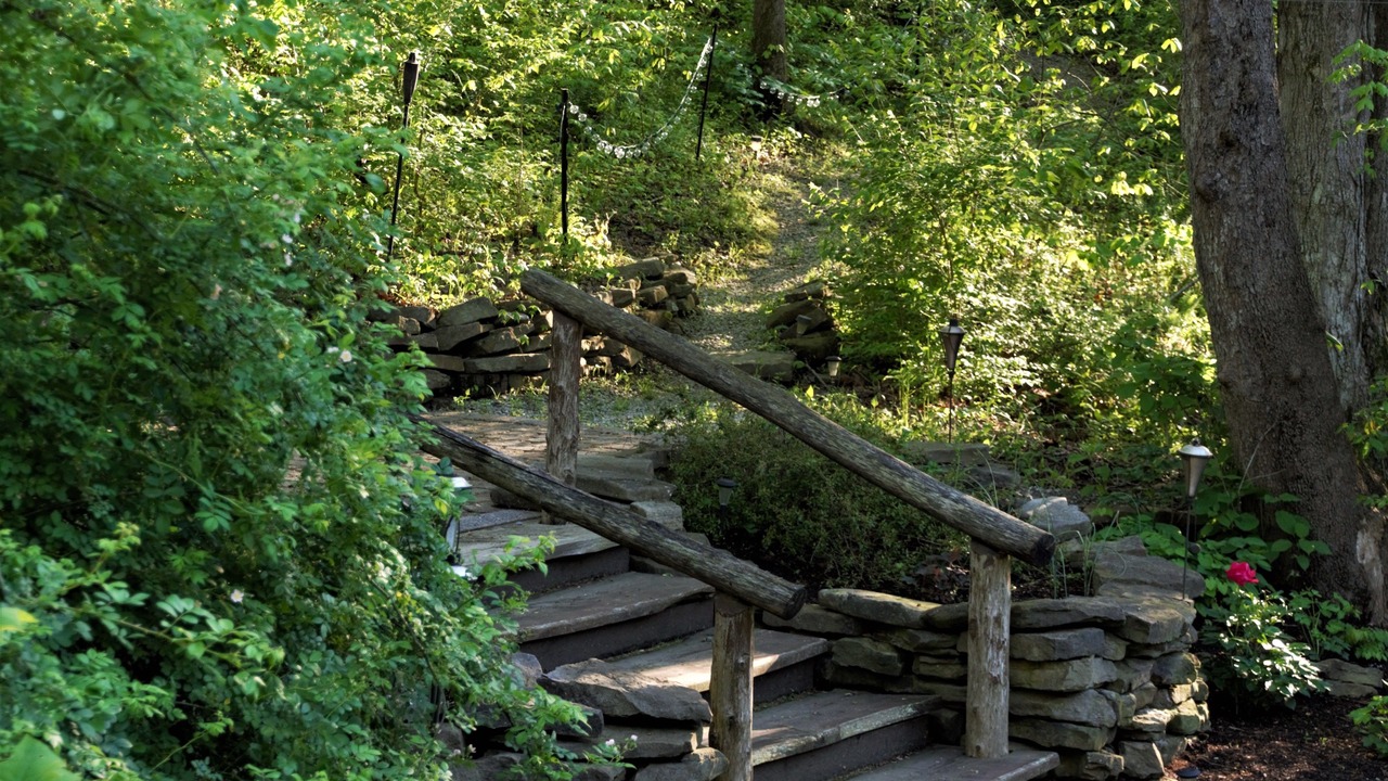 Photo of Outdoor in Makanda
